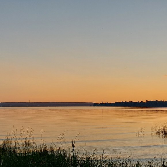 Meet your Posher, Jamie - Picture 1 of 1